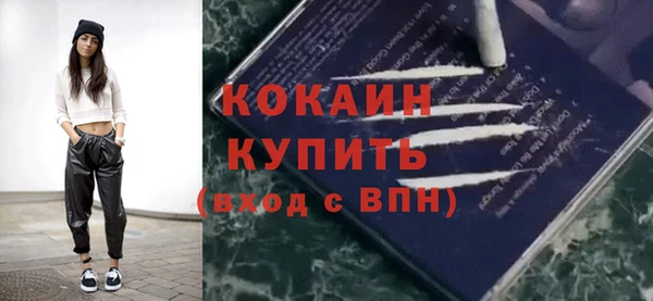 ГАЛЛЮЦИНОГЕННЫЕ ГРИБЫ Каменка