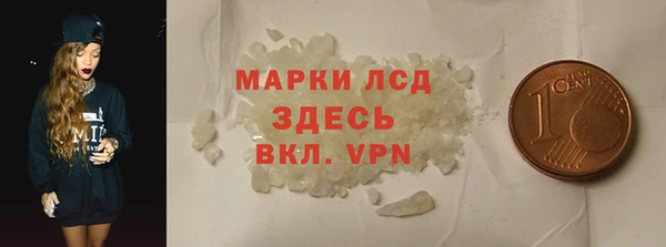 ГАЛЛЮЦИНОГЕННЫЕ ГРИБЫ Каменка