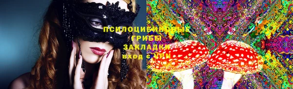 spice Каменногорск