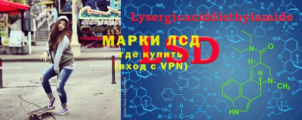ГАЛЛЮЦИНОГЕННЫЕ ГРИБЫ Каменка