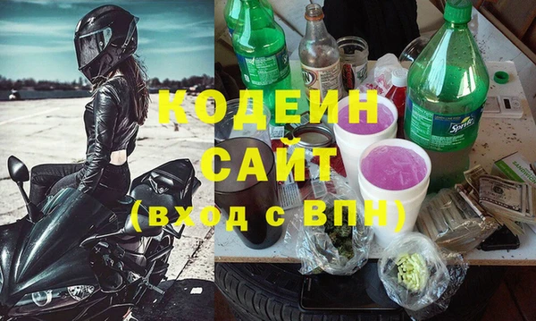 ГАЛЛЮЦИНОГЕННЫЕ ГРИБЫ Каменка