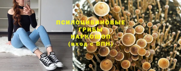 ГАЛЛЮЦИНОГЕННЫЕ ГРИБЫ Каменка