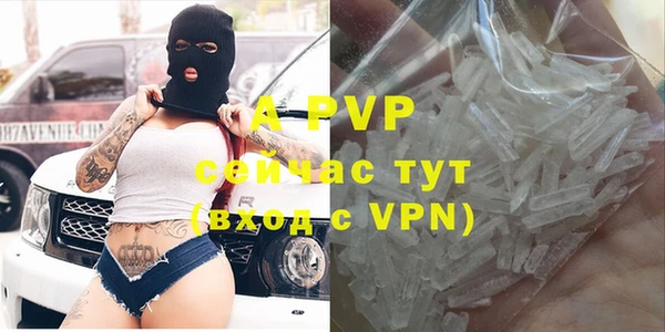 ГАЛЛЮЦИНОГЕННЫЕ ГРИБЫ Каменка