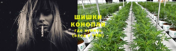 гидра Каменск-Шахтинский