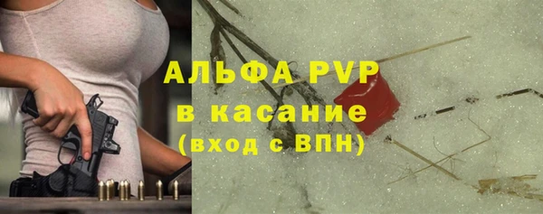 spice Каменногорск